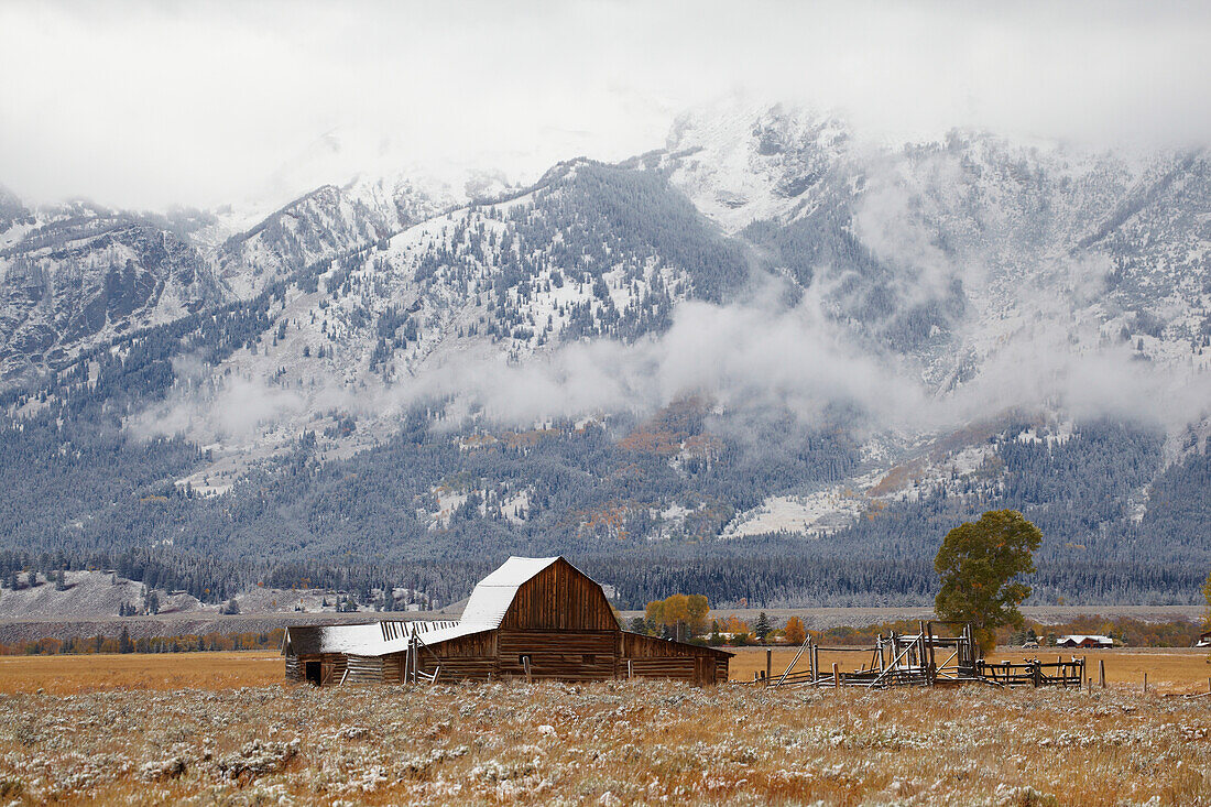 Scheune in den Antelope Flats , Wintereinbruch , Grand Teton National Park , Wyoming , U.S.A. , Amerika