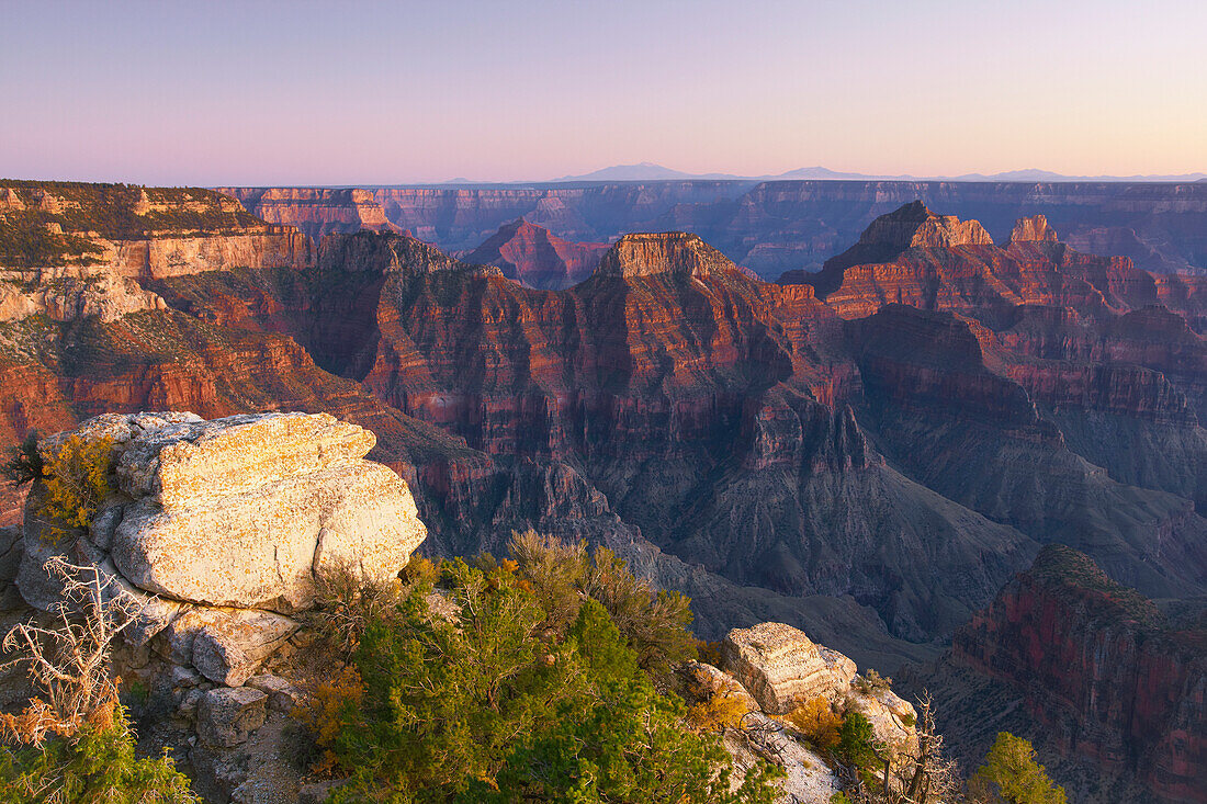 Blick vom Bright Angel Point in den  Bright Angel Canyon , North Rim , Grand Canyon National Park , Arizona , U.S.A. , Amerika