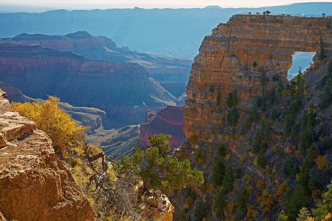 View from Cape Royal at Angel's Window and the South Rim , North Rim , Grand Canyon National Park , Arizona , U.S.A. , America