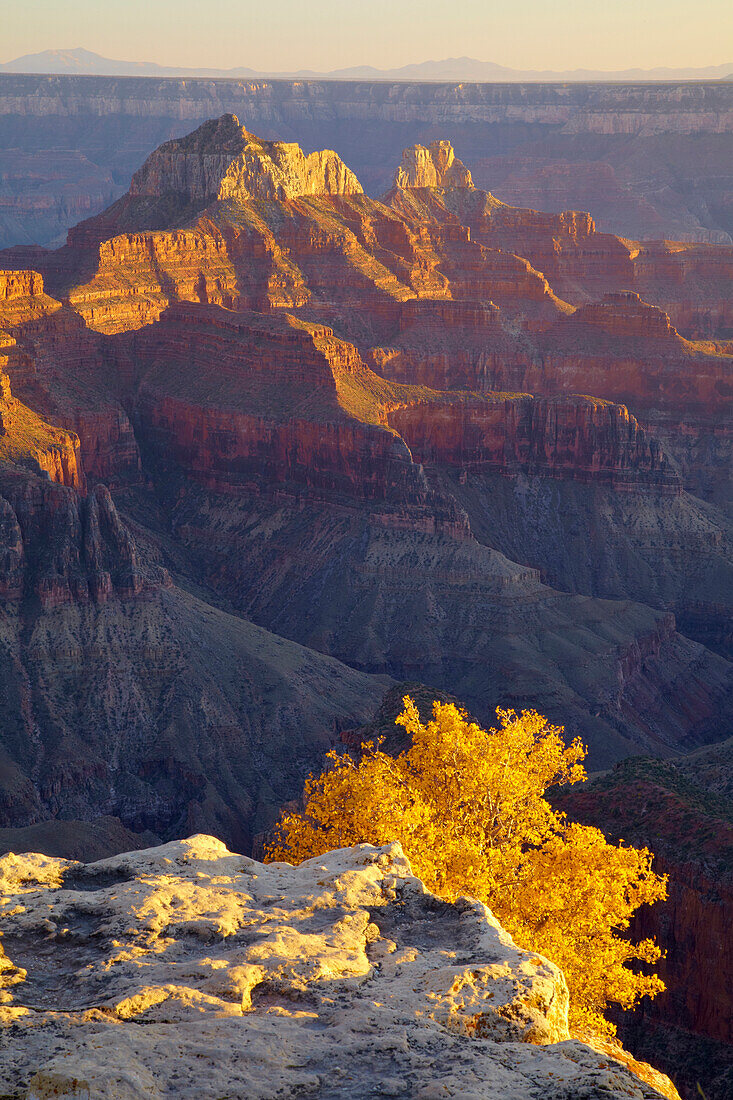 View from Bright Angel Point at  Bright Angel Canyon , North Rim , Grand Canyon National Park , Arizona , U.S.A. , America