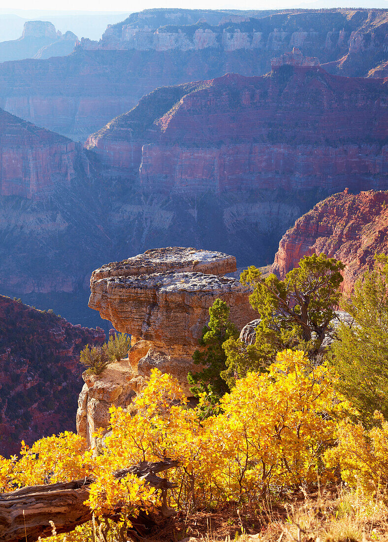 View from Point Imperial , Grand Canyon National Park , North Rim , Arizona , U.S.A. , America