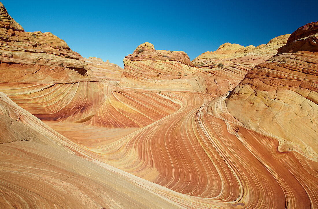 Coyote Buttes North , The Wave , Paria Canyon - Vermillion Cliffs Wilderness , Arizona , U.S.A. , America