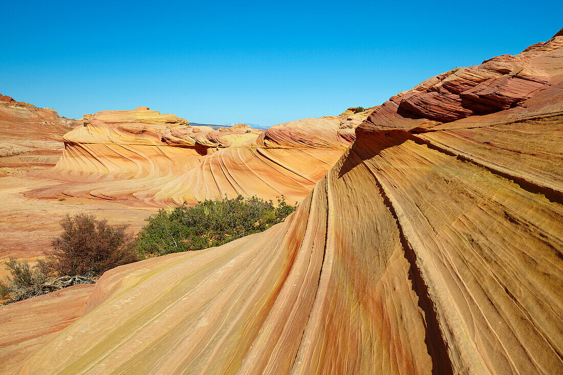 Coyote Buttes North , Nahe <The Wave> , Paria Canyon - Vermillion Cliffs Wilderness , Arizona , U.S.A. , Amerika