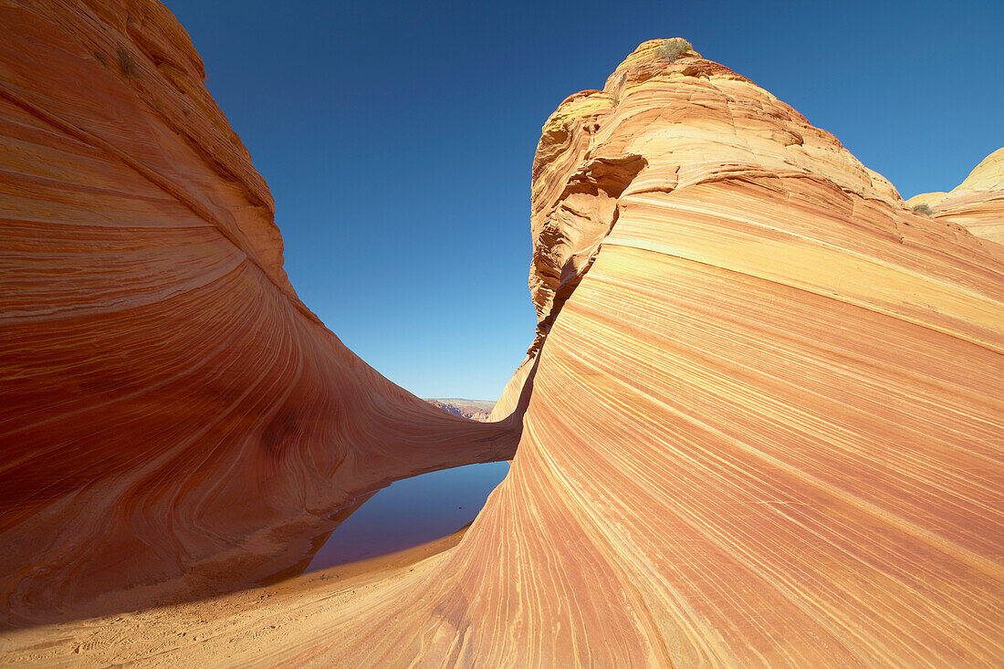 Coyote Buttes North , The Wave , Paria Canyon - Vermillion Cliffs Wilderness , Arizona , U.S.A. , Amerika