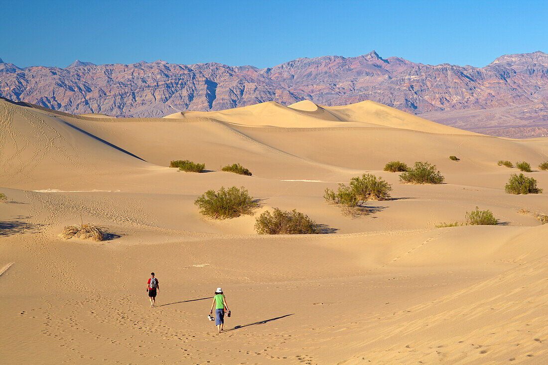 Blick über Mesquite Flat Sand Dunes bei Stovepipe Wells Village zur Amargosa Range , Death Valley National Park , Kalifornien , U.S.A. , Amerika