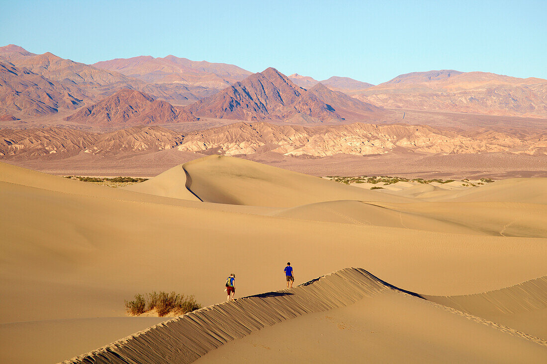 View over Mesquite Flat Sand Dunes at Stovepipe Wells Village towards Amargosa Range , Death Valley National Park , California , U.S.A. , America