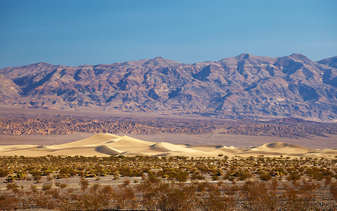 View over Mesquite Flat Sand Dunes at Stovepipe Wells Village towards Amargosa Range , Death Valley National Park , California , U.S.A. , America