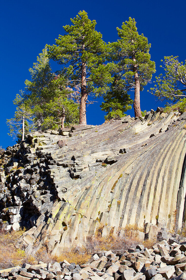 Devils Postpile National Monument , Sierra Nevada , California , U.S.A. , America