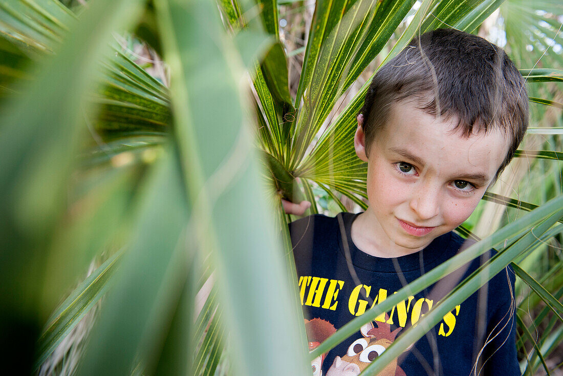 Boy looking through foliage, portrait
