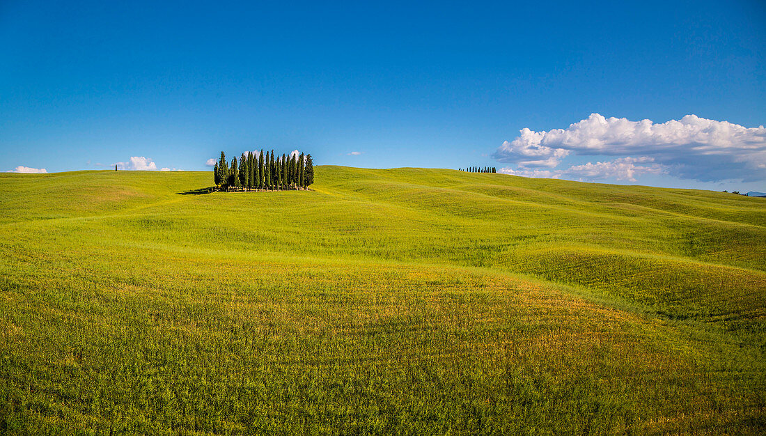 San Quirico d'Orcia, Tuscany, Italy