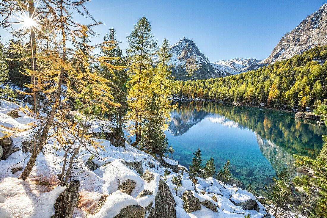 Colorful woods reflected in the blue water of Lake Saoseo Poschiavo Valley Canton of Graub??nden Swizterland Europe