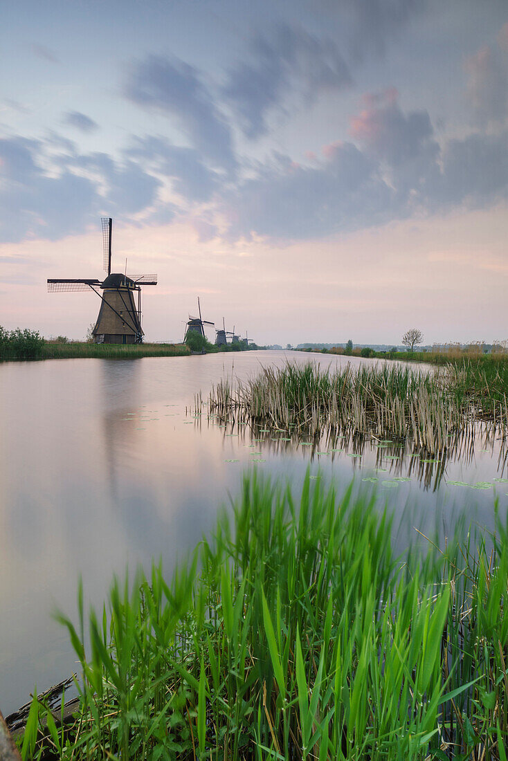 Green grass frames the windmills reflected in the canal at dawn Kinderdijk Rotterdam South Holland Netherlands Europe