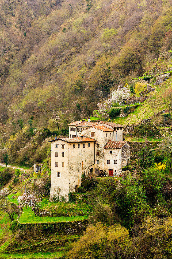 Old hamlet, Contrada Giaconi, Val Frenzela, Valstagna, Provincia of Vicenza, Veneto, Italy. Ancient village on hillside.