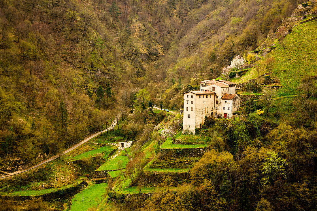 Small mountain village, Contrada Giaconi, Val Frenzela, Valstagna, Provincia of Vicenza, Veneto, Italy. Rural dwellings in valley.