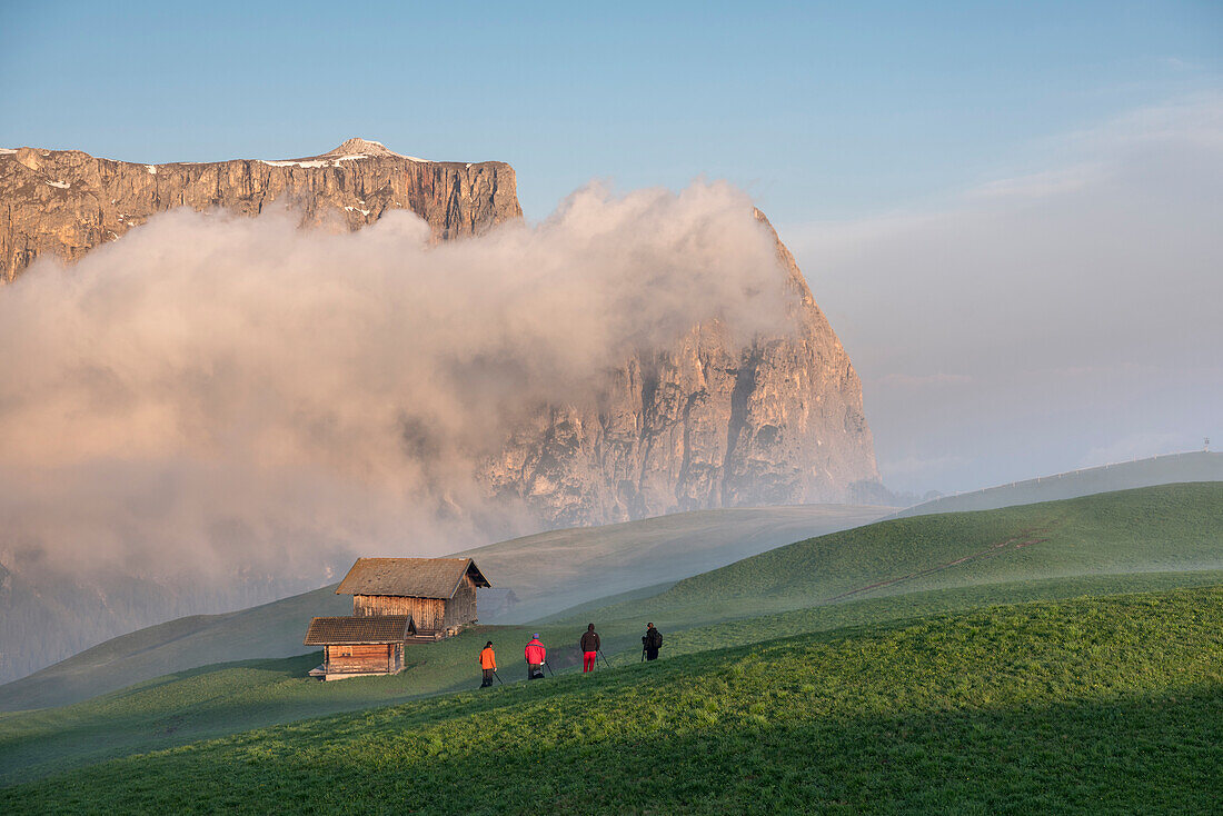 Alpe di Siusi/Seiser Alm, Dolomites, South Tyrol, Italy. Sunrise on the Seiser Alm / Alpe di Siusi. In the background the peaks of Sciliar/Schlern, Euringer and Santner