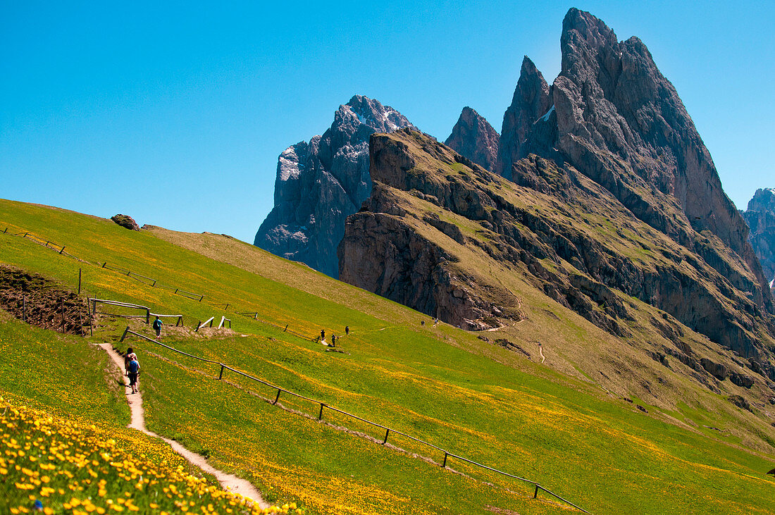 Trekking trail on the Seceda mountains with great views of the rocky peaks. Dolomiti, Trentino Alto Adige, Italy.