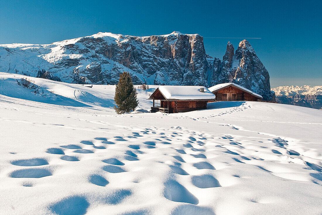 Traditional huts of the Dolomites after a winter snowfall overlook the scenery of the Group Sciliar. Siusi. Western Dolomites. Trentino Alto Adige. Italy. Europe