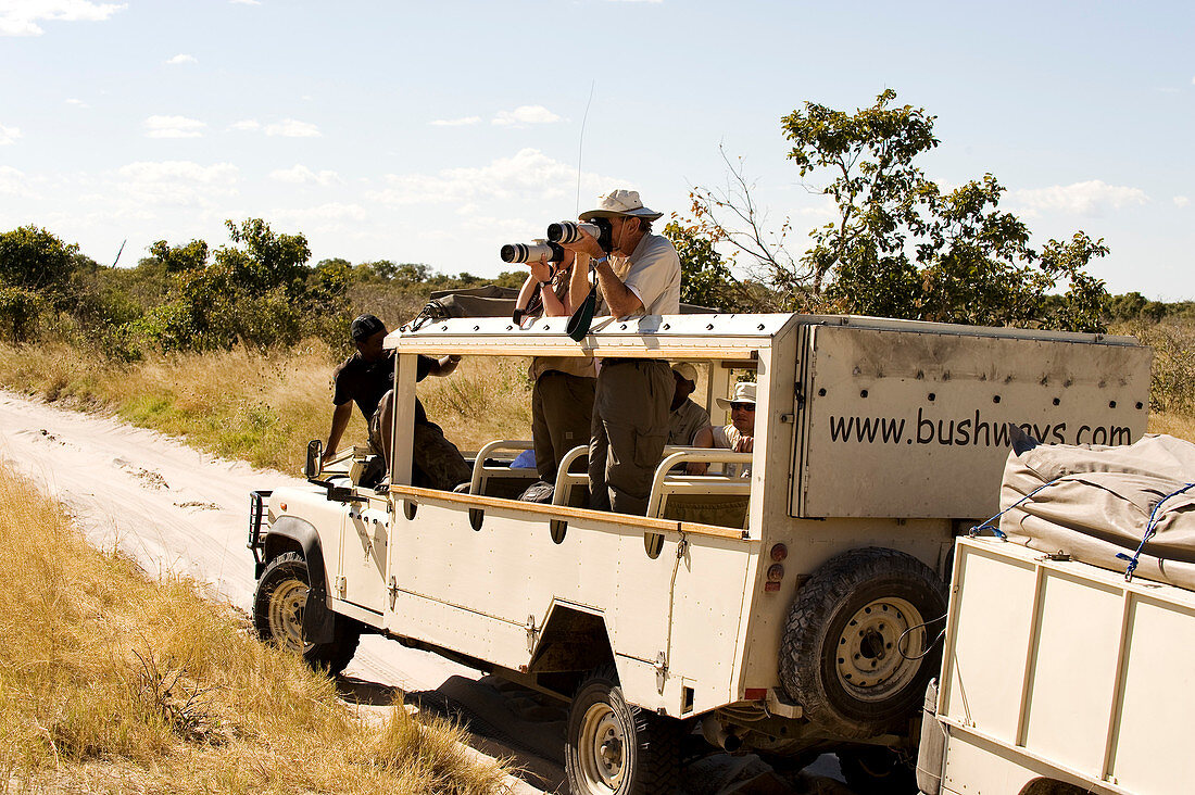 Botswana, North-west district, Chobe National Park, Savuti arid region, safari