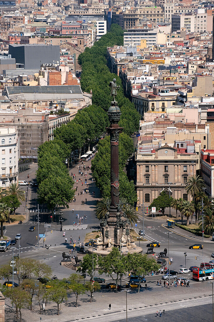 Spain, Catalonia, Barcelona, Christopher Columbus Monument in the Gotico District (Barri Gotic) and Ramblas trees