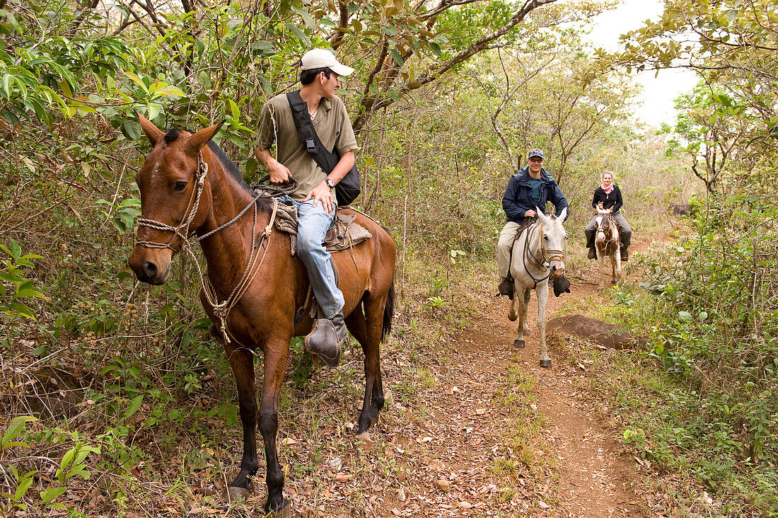 Costa Rica, Guanacaste province, Rincon de la Vieja National Park, horse trek