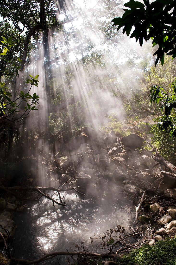 Costa Rica, Guanacaste province, Rincon de la Vieja National Park, hot sulphurous spring