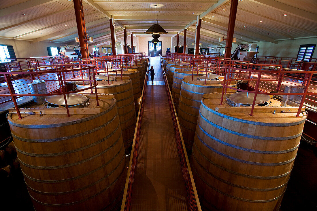 United States, California, Napa Valley, Oakville, Robert Mondavi Winery, the cellars with its oak barrels