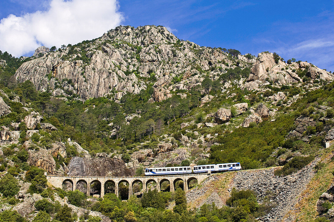 France, Haute Corse, the Trinighellu, the Corsican little train on a viaduct before the arrival in Venaco on the journey between Ajaccio and Corte