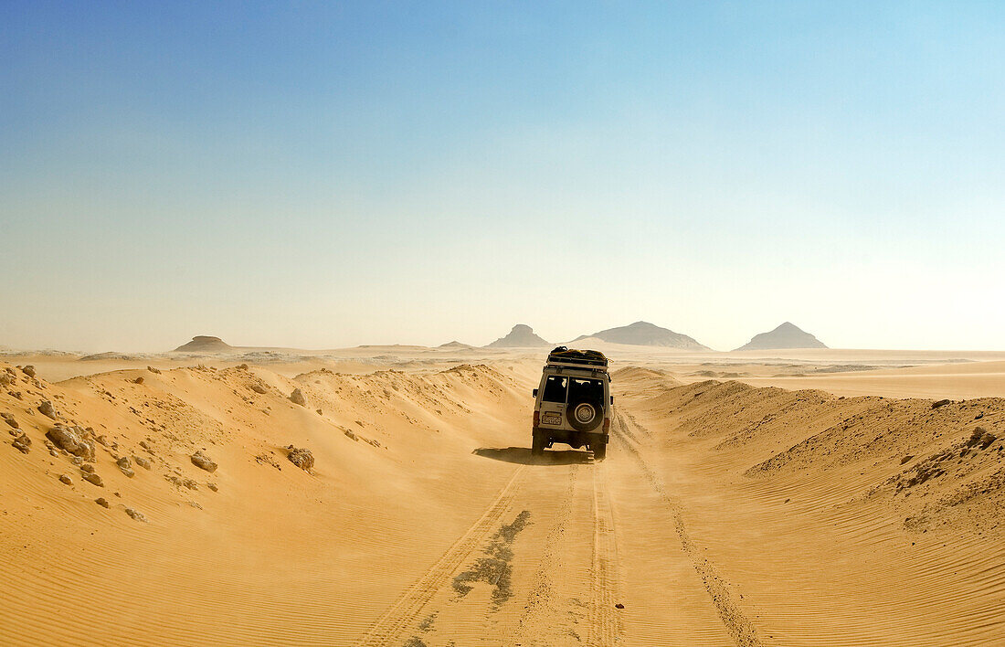 Egypt, Lower Egypt, Libyan Desert, trail from Siwa Oasis to Bahareyya Oasis