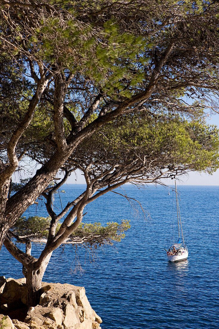 France, Bouches du Rhone, the Cote Bleue (the Blue Coast), the Mejean Calanque