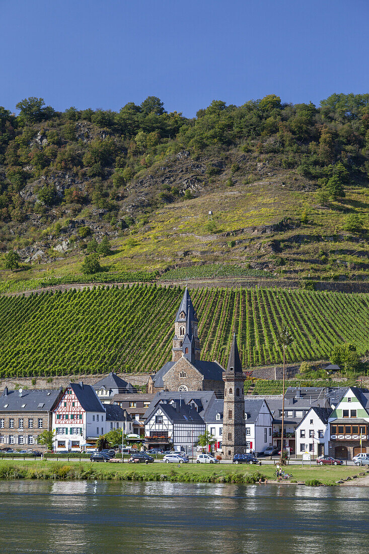 View over the Mosel at Hatzenport, Eifel, Rheinland-Palatinate, Germany, Europe