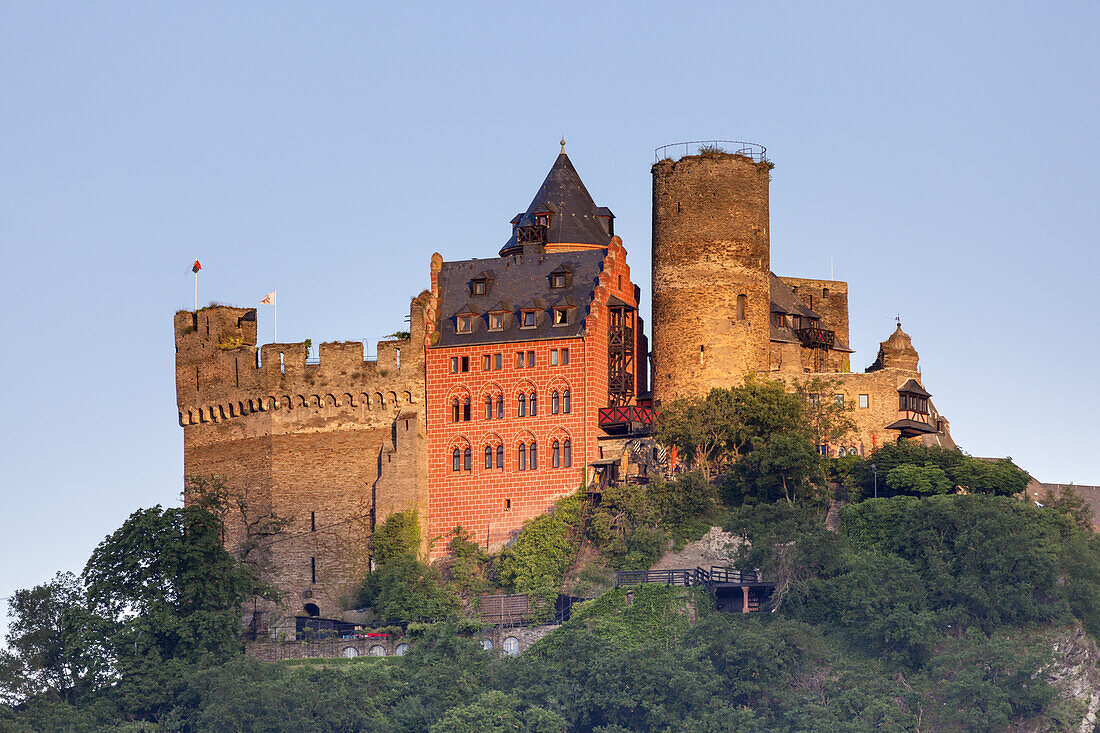 Burg Schönburg am Rhein bei Oberwesel, Oberes Mittelrheintal, Rheinland-Pfalz, Deutschland, Europa