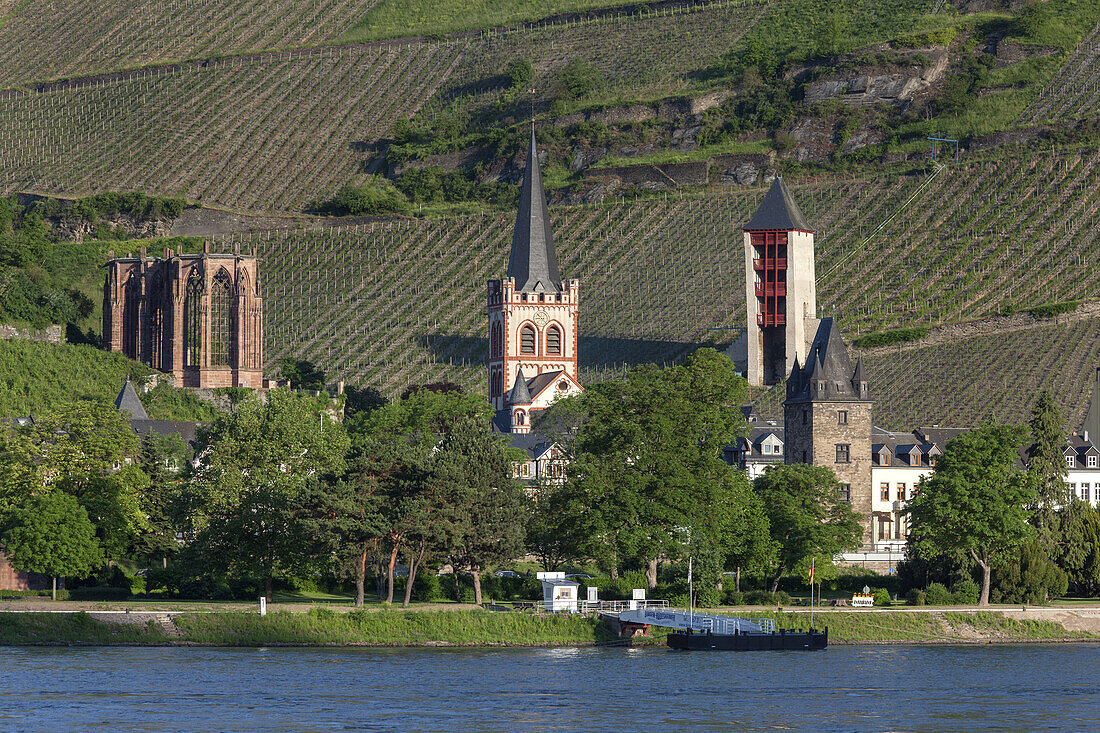 Blick über den Rhein auf Bacharach, Oberes Mittelrheintal, Rheinland-Pfalz, Deutschland, Europa