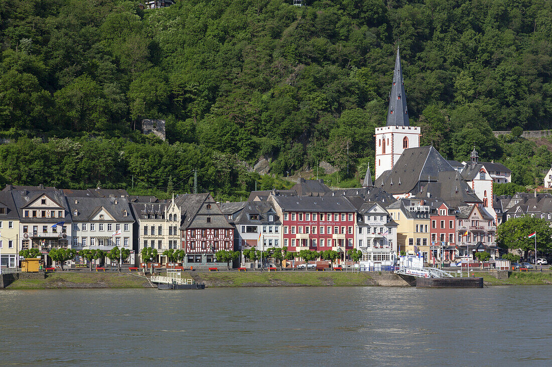 Blick über den Rhein auf die Altstadt von Sankt Goar mit der Stiftskirche, Oberes Mittelrheintal, Rheinland-Pfalz, Deutschland