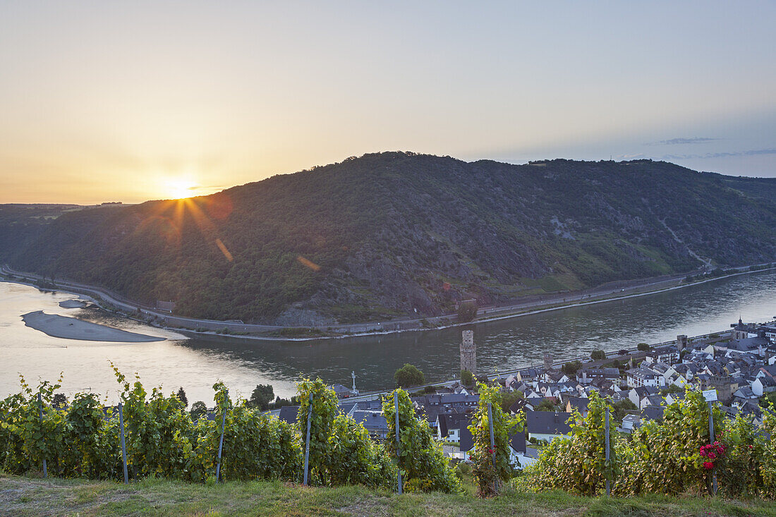 Blick über die Weinberge auf Oberwesel und den Rhein, Oberes Mittelrheintal, Rheinland-Pfalz, Deutschland, Europa