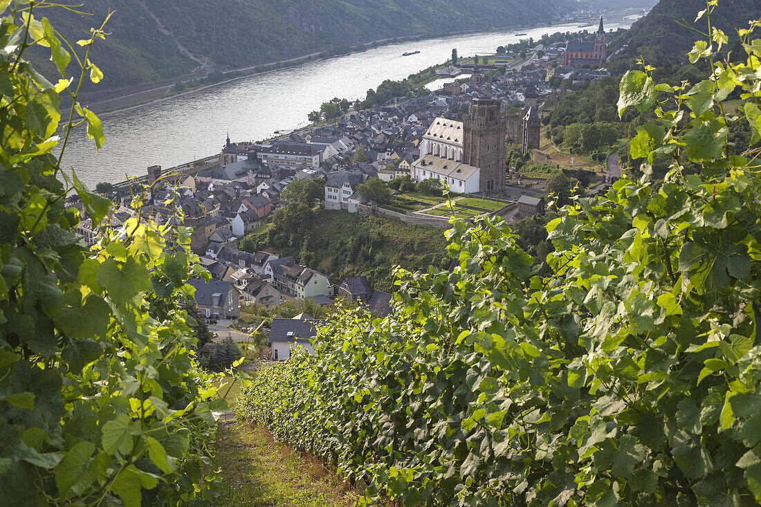 View over the vineyards at Oberwesel and the Rhine, Upper Middle Rhine Valley, Rheinland-Palatinate, Germany, Europe