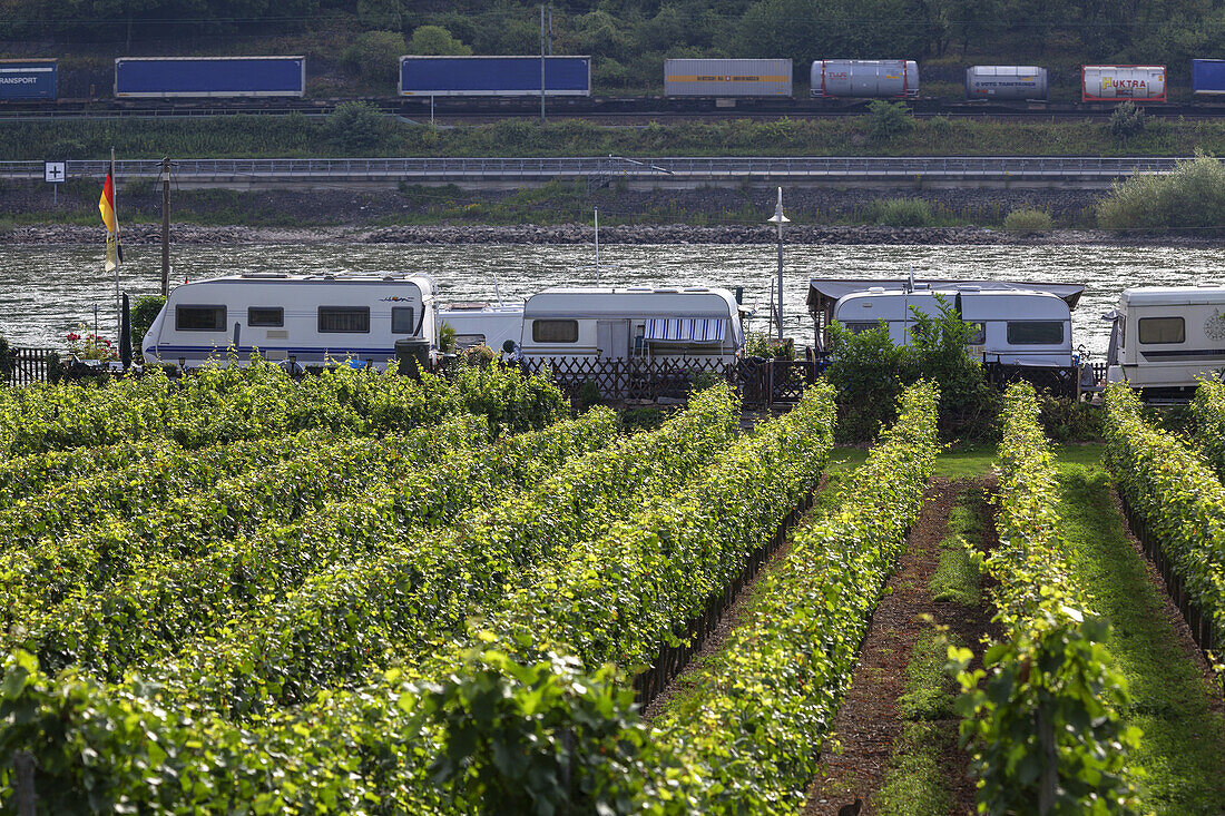 Campsite in Trechtingshausen by the Rhine, on the other side of the river a railway track, Upper Middle Rhine Valley, Rheinland-Palatinate, Germany, Europe