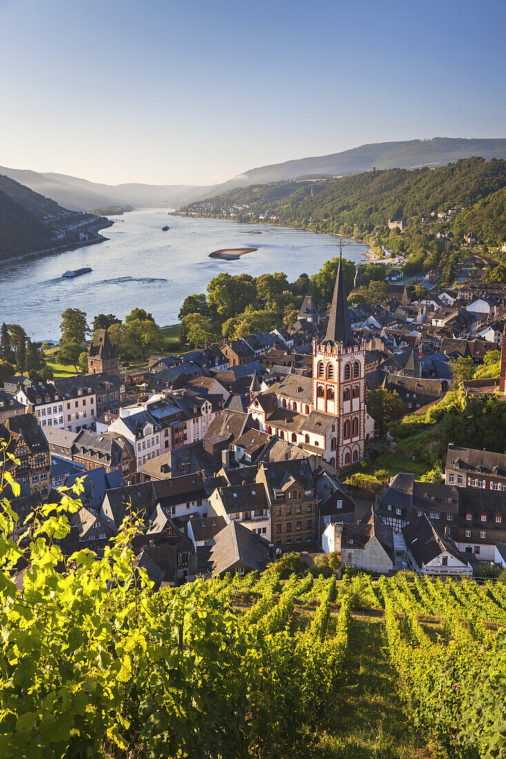 View over the old town of Bacharach by the Rhine, Upper Middle Rhine Valley, Rheinland-Palatinate, Germany, Europe