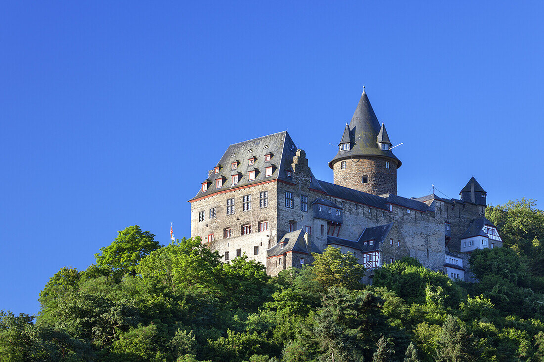 Burg Stahleck oberhalb von Bacharach am Rhein, Oberes Mittelrheintal, Rheinland-Pfalz, Deutschland, Europa