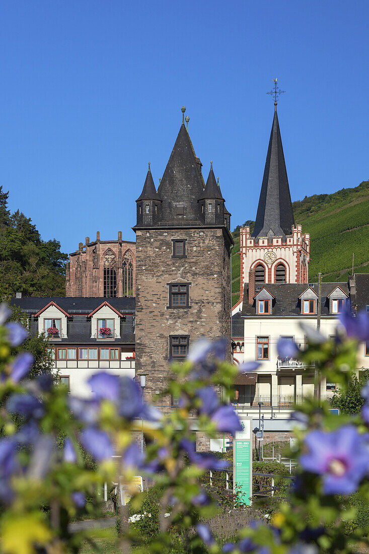 View at church St. Peter and the town walls of Bacharach, Upper Middle Rhine Valley, Rheinland-Palatinate, Germany, Europe