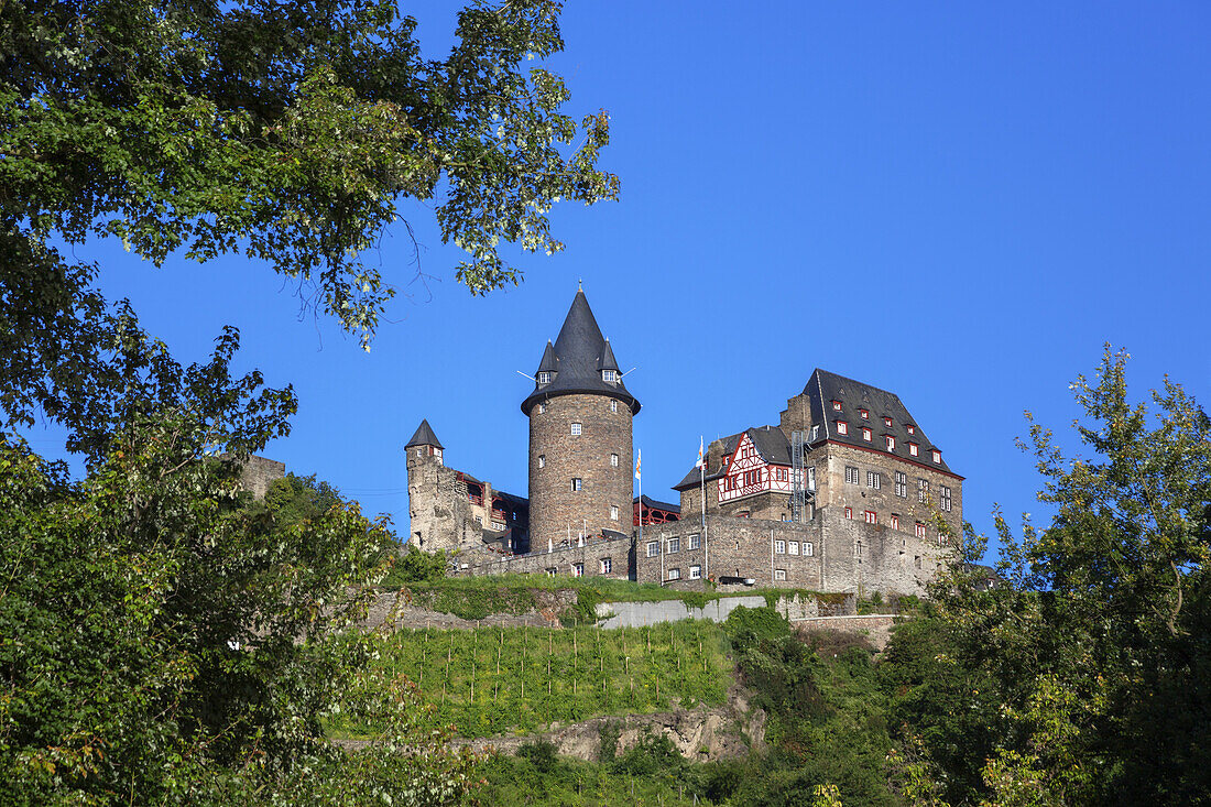 Blick auf Burg Stahleck und die Weinberge oberhalb von Bacharach am Rhein, Oberes Mittelrheintal, Rheinland-Pfalz, Deutschland, Europa