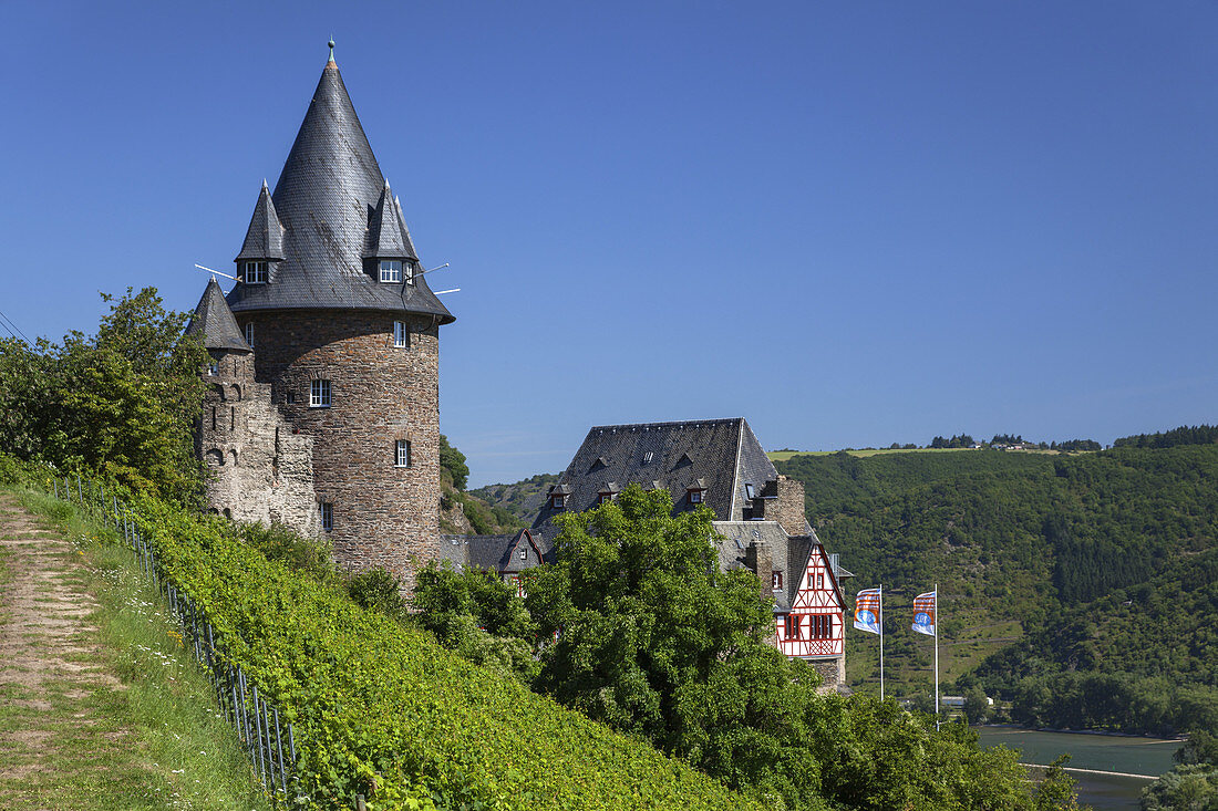 View at Burg Stahleck Castle, the Rhine and the vineyards above Bacharach, Upper Middle Rhine Valley, Rheinland-Palatinate, Germany, Europe
