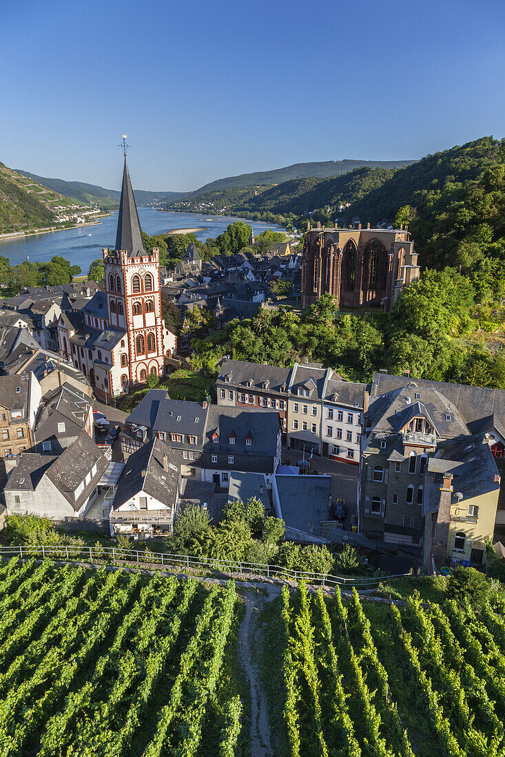 Blick über die Weinberge auf die Altstadt von Bacharach am Rhein, Oberes Mittelrheintal, Rheinland-Pfalz, Deutschland, Europa
