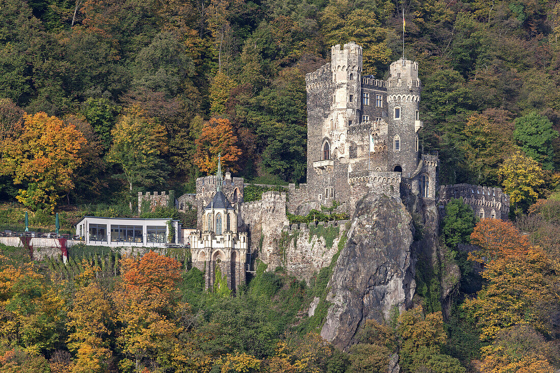Burg Rheinstein castle by the Rhine, near Trechtingshausen, Upper Middle Rhine Valley, Rheinland-Palatinate, Germany, Europe