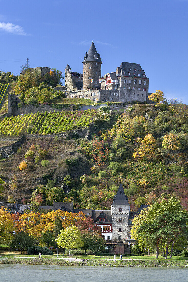 Blick über den Rhein auf Burg Stahleck bei Bacharach, Oberes Mittelrheintal, Rheinland-Pfalz, Deutschland, Europa