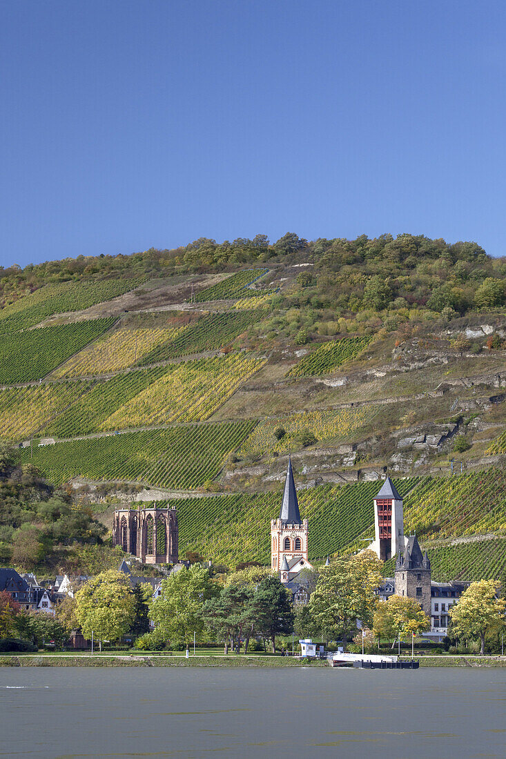 View over the Rhine at Bacharach, Upper Middle Rhine Valley, Rheinland-Palatinate, Germany, Europe