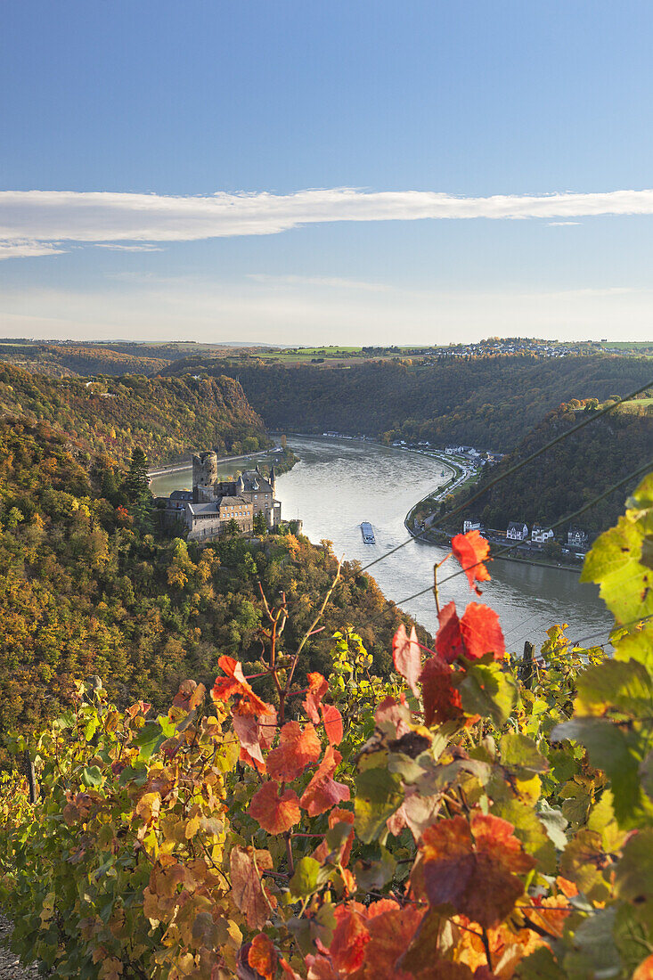 Blick auf die Burg Katz am Rhein im Herbst, St. Goarshausen, Oberes Mittelrheintal,  Rheinland-Pfalz, Deutschland, Europa