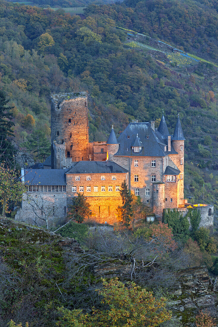 Blick auf die Burg Katz am Rhein im Herbst, St. Goarshausen, Oberes Mittelrheintal,  Rheinland-Pfalz, Deutschland, Europa