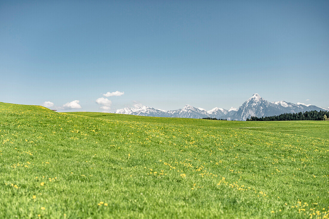 Eisenberg Zell, Spring, green Gras, Allgaeu, Bavaria, Germany, Mountains