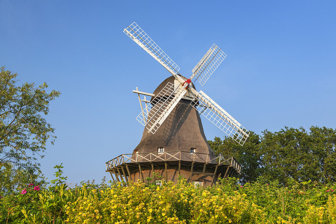 Windmill in Soby, Island Ærø, South Funen Archipelago, Danish South Sea Islands, Southern Denmark, Denmark, Scandinavia, Northern Europe