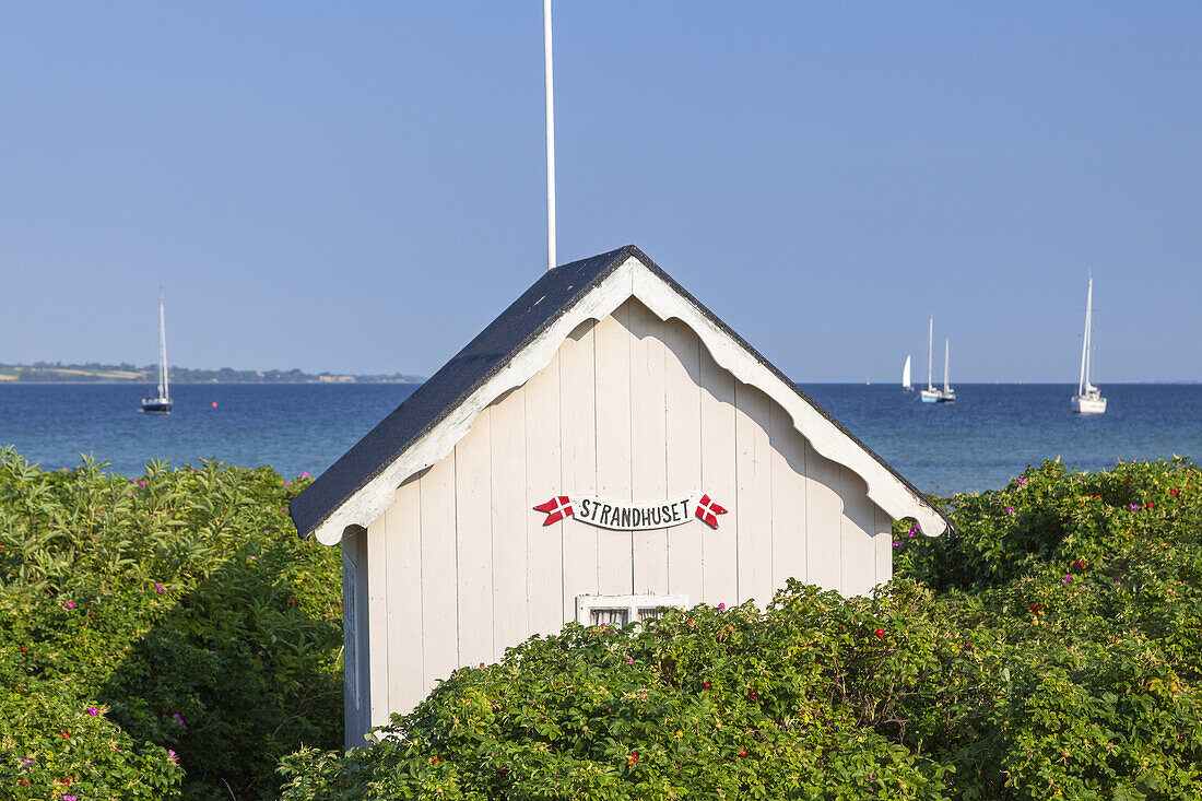 Strandhütte Strandhuset am Strand von Ærøskøbing, Insel Ærø, Schärengarten von Fünen, Dänische Südsee, Süddänemark, Dänemark, Nordeuropa, Europa